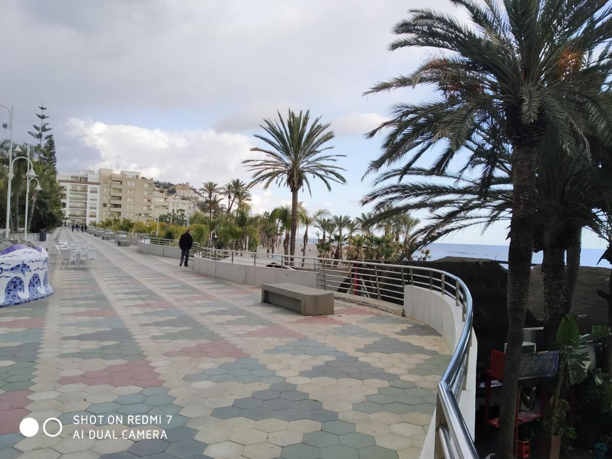 Apartment Delfin *