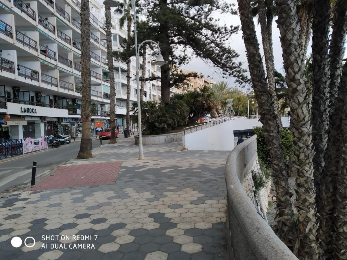Apartment Delfin *